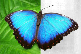 remove background professionally and upscale your image