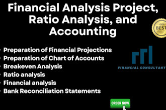 financial projections, profit and loss, and accounting