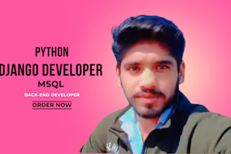 professional backend developer  python and django expert