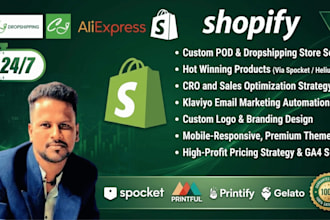 build a professional shopify dropshipping or pod store
