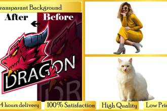 make logo transparent or remove background , object, and people in just 1 hour