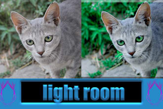 do high end lightroom editing and colourful
