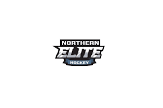 design elite hockey training with a unique  modern professional feel  logo