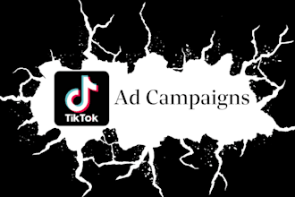 run tiktok ads for your business