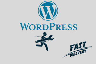 provide technical support to your wordpress website