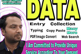 do all kinds of data entry, typing, copy paste,pdf convert and more