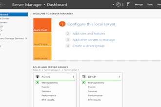 configure windows server, active directory, dns, and dhcp