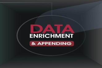 do data enrichment and data entry