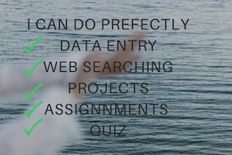 assit and help you in data entry, assignments and projects