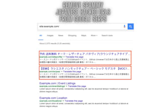 remove spammy japanese hacked urls from google serps