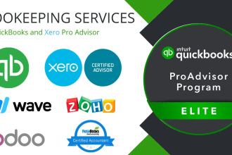 deliver best accounting work services for you