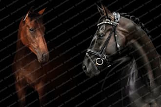 retouch photos of horses equine equestrian animals pets dogs