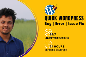 fix wordpress error, wordpress issue and wordpress bug