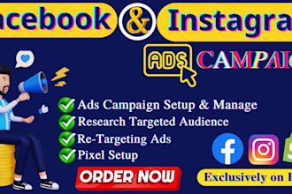 setup and manage facebook instagram ads campaign in ads manager, fb advertising