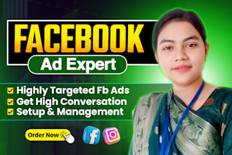 setup and manage facebook ads campaign, instagram ads, fb or meta ad marketing