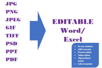 do all word processing including images file conversion and formatting