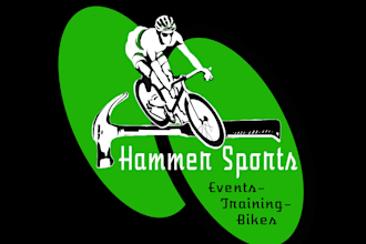 design high quality hammer sports logo within 16 hours