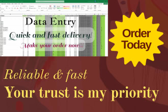 perform excel data entry, web research, copy paste for you