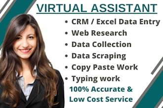 be your virtual assistant for data entry job offline online