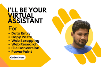 be you virtual assistant for data entry, data collection and web research