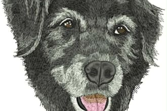 digitize image for embroidery, custom embroidery digitizing, embroidery logo