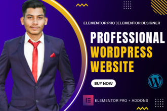 be your elementor expert, elementor pro and elementor developer