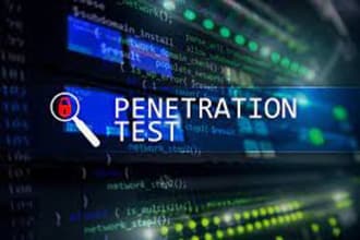 perform penetration testing to secure your website and network