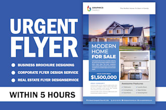 do an urgent one pager sell sheet  product flyer media kit sheet,product catalog