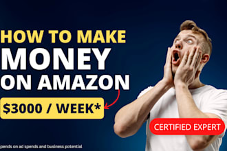 setup and manage amazon PPC advertising campaigns