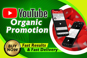 do youtube promotion of a video with a niche relevant audience