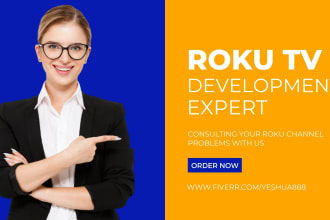develop roku custom sdk channel