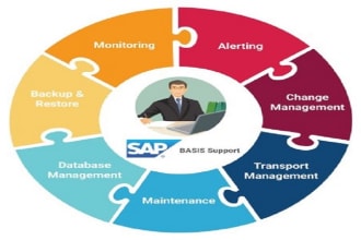expertly troubleshoot and fix your sap basis issues