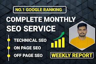 provide complete monthly SEO services for google top ranking