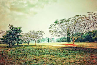 paint traditional landscape art with oil painting on canvas