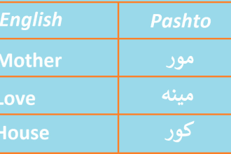 do manual english to pashto translation for you