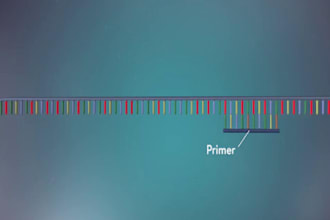 design primers for your molecular biology experiment