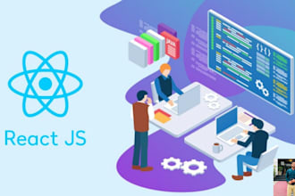 be your web developer react js, next js, node js, mongodb,