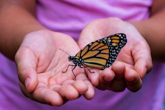 do spiritual transformation for you