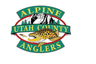 create excellent valley fish logo design with express delivery