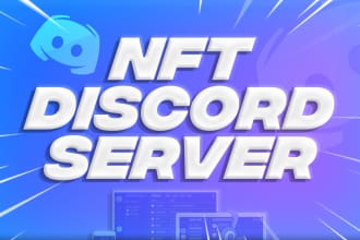 setup professional nft discord server within 24 hours