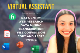 do data entry, personal assistant, web research, excel, email handling
