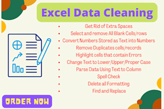 clean and format excel spreadsheet and google sheet