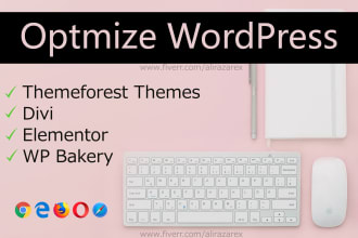 do wordpress speed optimization