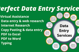 do data entry typing work in excel spreadsheet