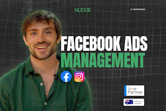 manage your facebook and instagram ads for sales and leads