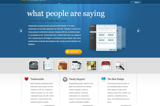 design or troubleshoot your WordPress website