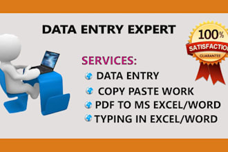 do data entry, typing work and excel data entry work