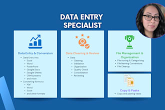 do data entry for excel, word, powerpoint, sheets, docs, and more