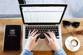 do excel data entry, copy paste, typing