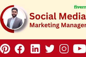 be your social media marketing manager to grow your business